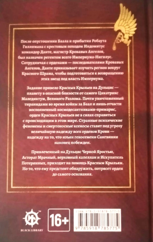 Astartes. Anioł Miłosierdzia