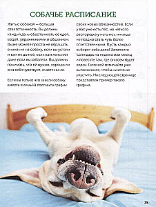 Suņi. Pilnīga rokasgrāmata bērniem