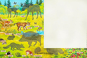 Stickerbuch. Waldtiere