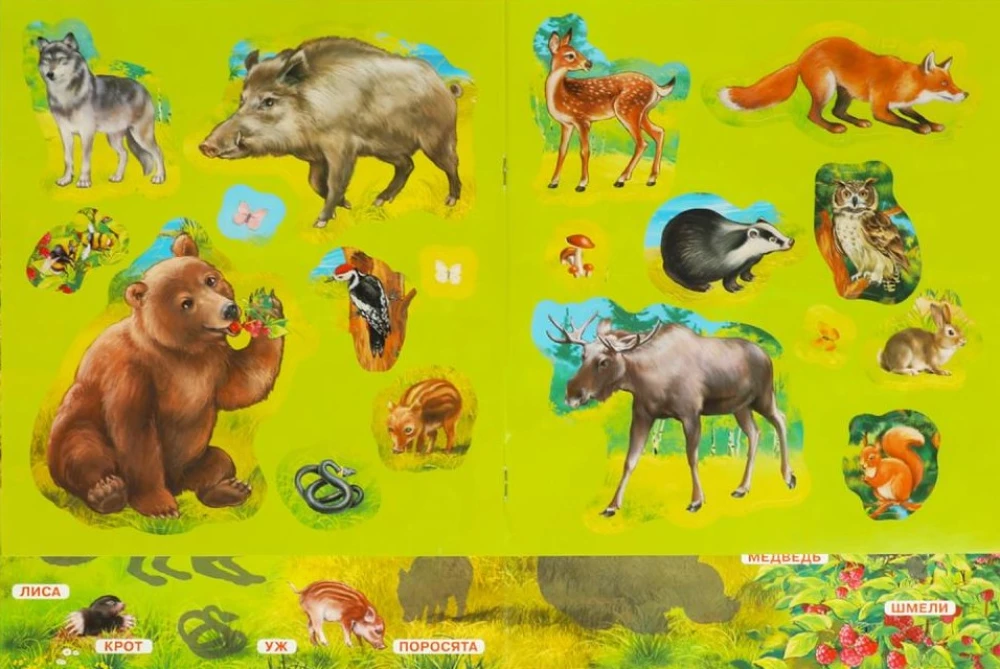Stickerbuch. Waldtiere