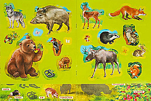 Stickerbuch. Waldtiere