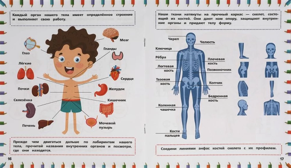 Developing Book 3 in 1. Mazes, Walks, Puzzles. The Human Body