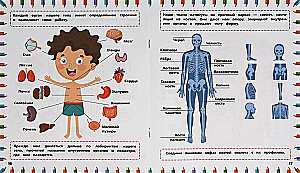 Developing Book 3 in 1. Mazes, Walks, Puzzles. The Human Body