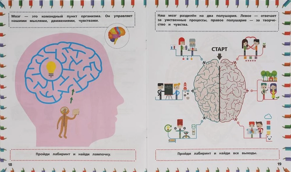 Developing Book 3 in 1. Mazes, Walks, Puzzles. The Human Body