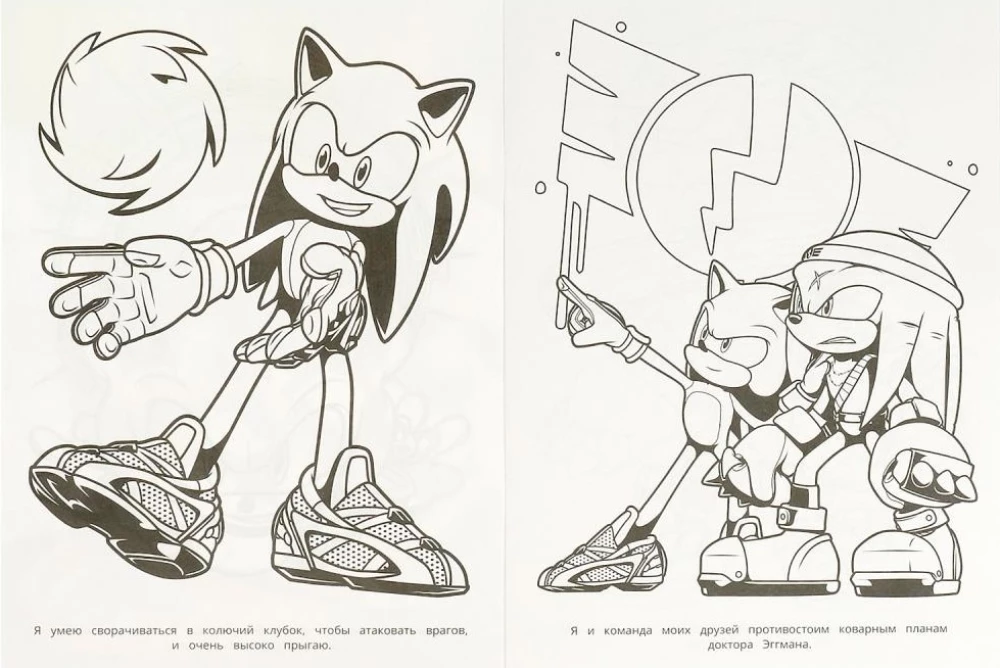 Oszałamiająca kolorowanka. Sonic i jego przyjaciele