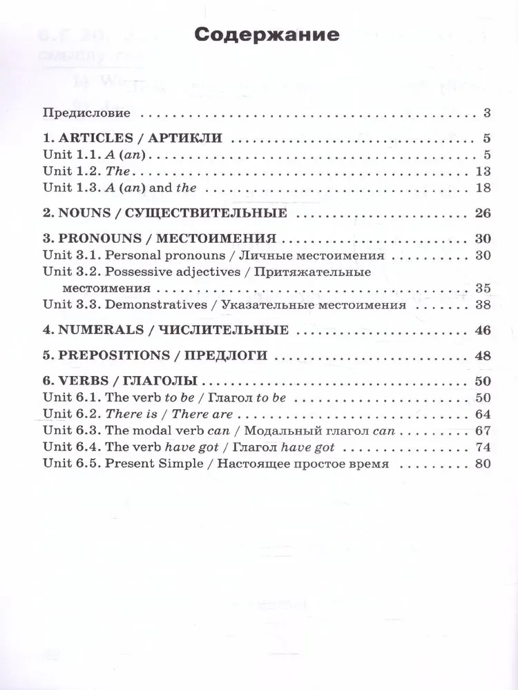 Język angielski. Trener gramatyczny (2 klasa)