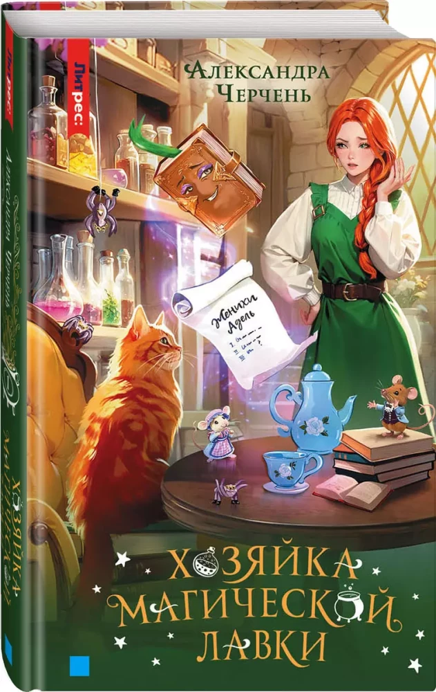 Właścicielka magicznego sklepu. Książka 1