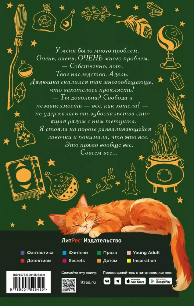 Właścicielka magicznego sklepu. Książka 1