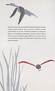 Putns-sirds