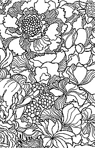 The Power of the Green Witch. Anti-Stress Coloring Book