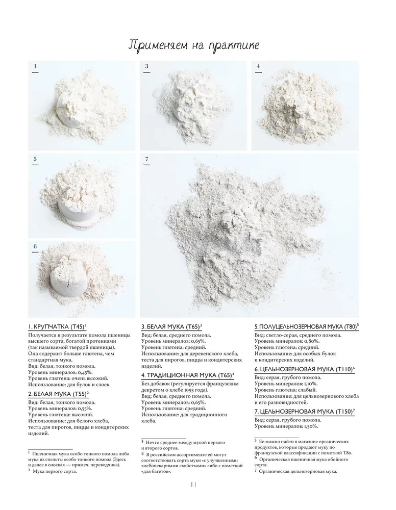 Brot. Großes Lehrbuch. Backen Sie wie ein professioneller Bäcker