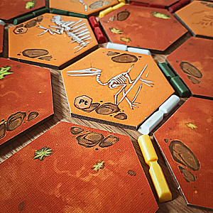 Brettspiel - Dino-Knochen