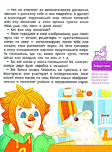 Kā darbojas smadzenes. Bērnu enciklopēdija (Čevostiks)