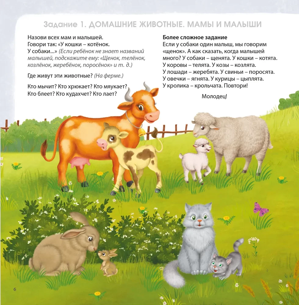 Albumas smegenų vystymuisi. 3+. 100 efektyvių užduočių ir žaidimų