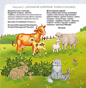 Albumas smegenų vystymuisi. 3+. 100 efektyvių užduočių ir žaidimų