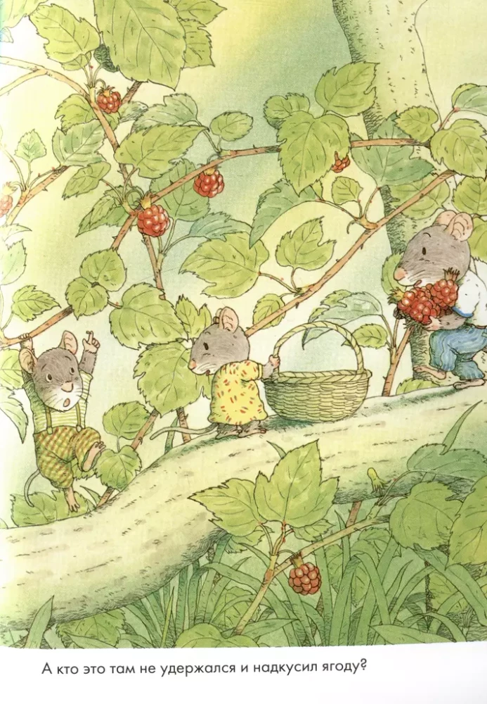 14 Waldmäuse. Frühstück