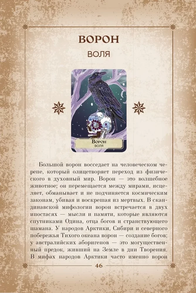 Orakel der Welt-Schamanen. Tarot, Wahrsagungen und Zeichen