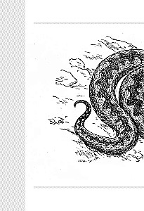 Snakes. Mystical Animals and How They Differ from Others