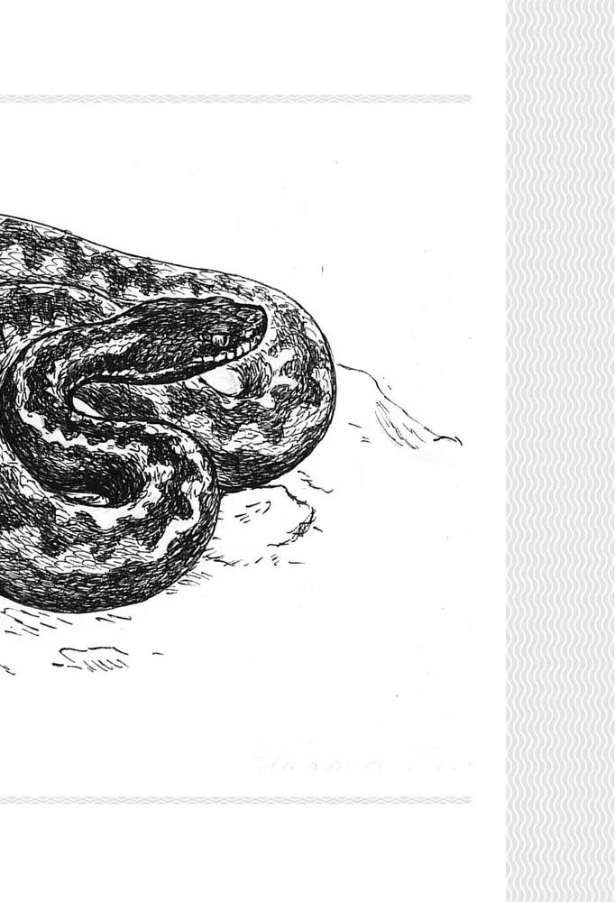 Snakes. Mystical Animals and How They Differ from Others