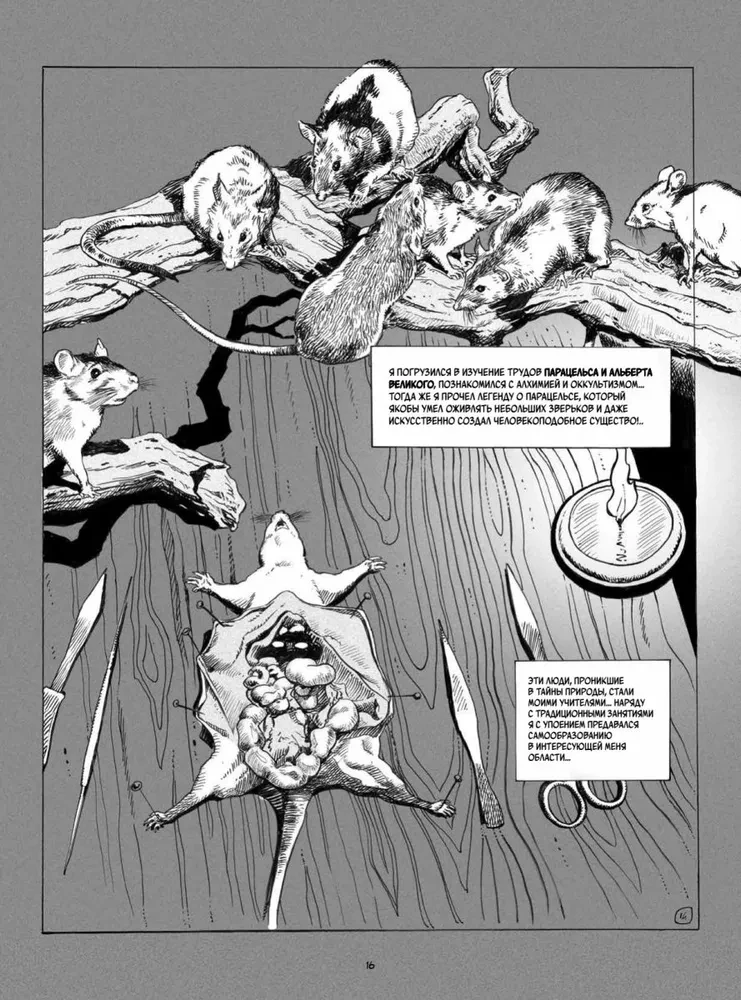 Frankenšteinas. Meri Šeli. Grafikos romanas