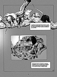 Frankenšteinas. Meri Šeli. Grafikos romanas