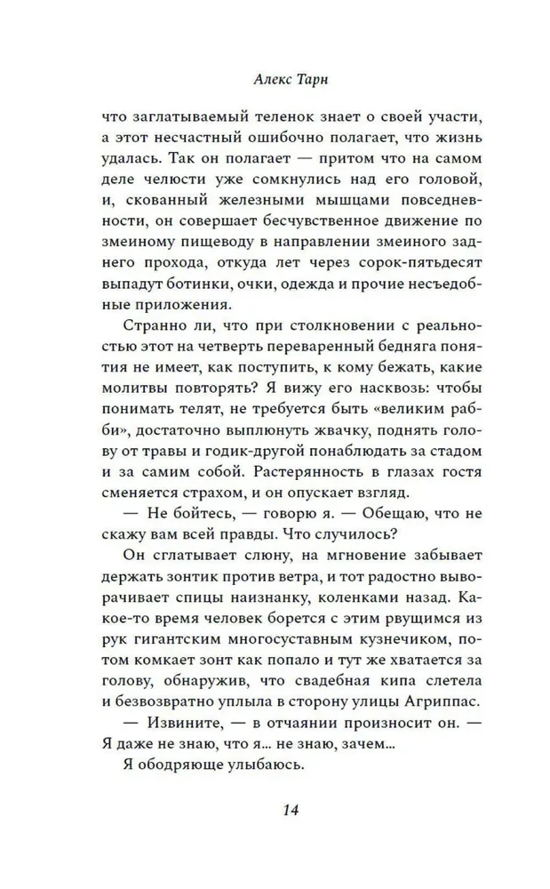 Keturi avinai prie upelio