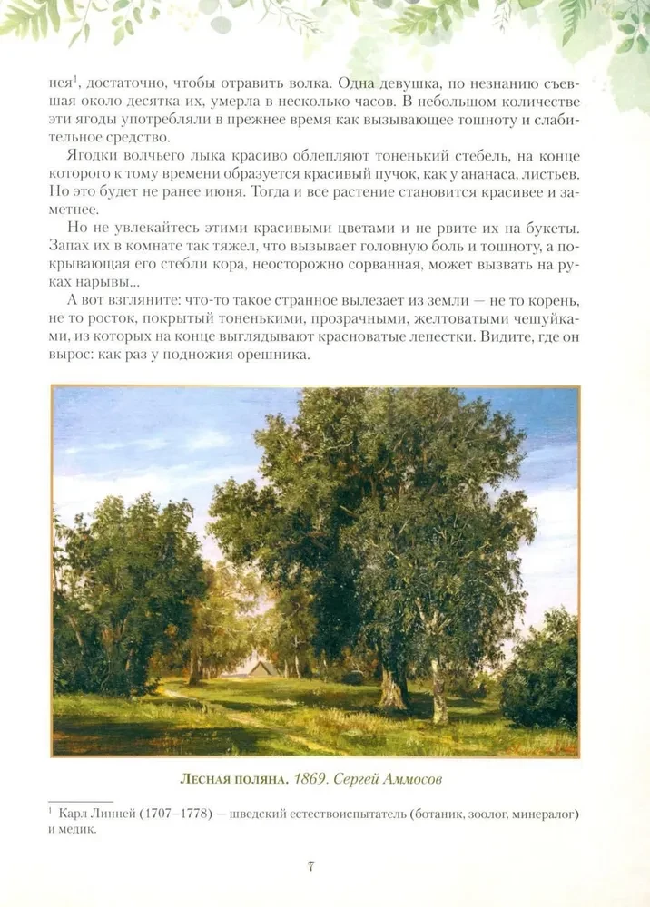 Rusijos miško dovanos. Grybai, uogos ir gydomieji augalai