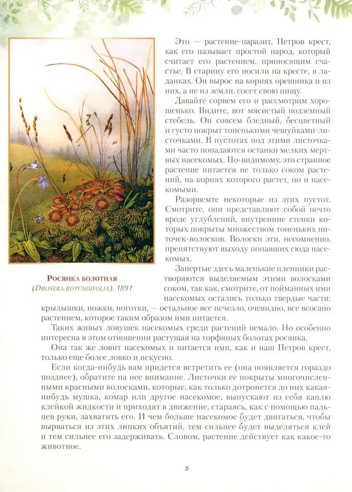 Rusijos miško dovanos. Grybai, uogos ir gydomieji augalai