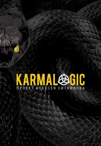 KARMALOGIC + sisetükk. 48 võimu seadust (komplekt 2 raamatust)