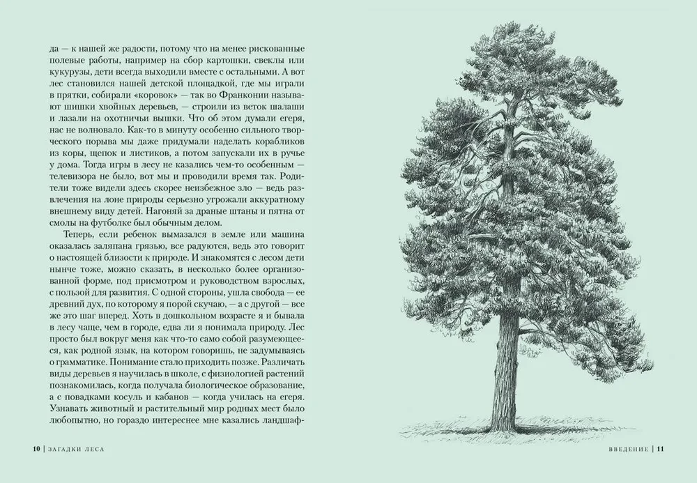 Metsamüsteerium. Üllatav elu planeedi rohelises ökosüsteemis