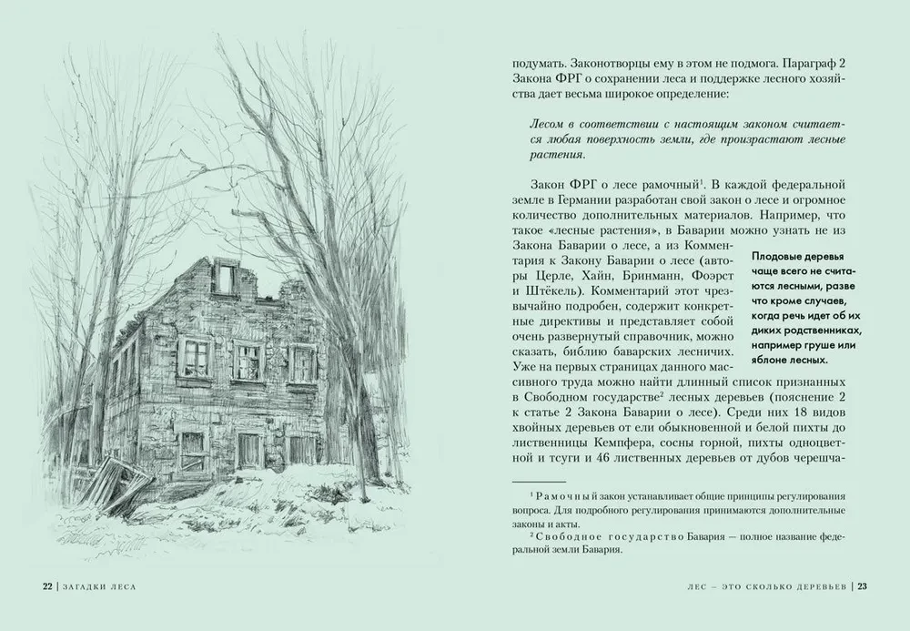 Metsamüsteerium. Üllatav elu planeedi rohelises ökosüsteemis