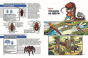 Eelajalised pioneerid. Süsiniku ja permia hiiglased. Osa 3