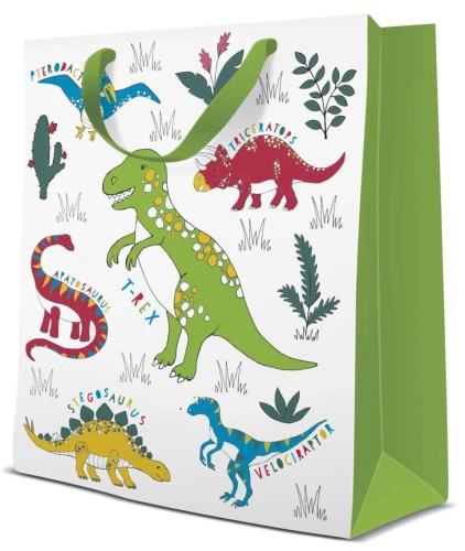 Kingituse kott - Dinosaur (20x25x10)