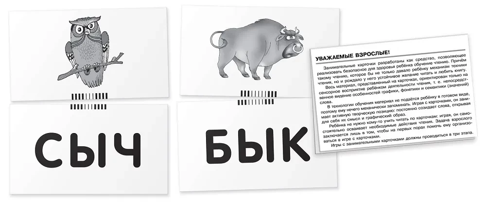 Vabalas. Skaitykime žodžius-slogus. Kortelių rinkinys