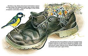 Was passiert im Schuhschrank?