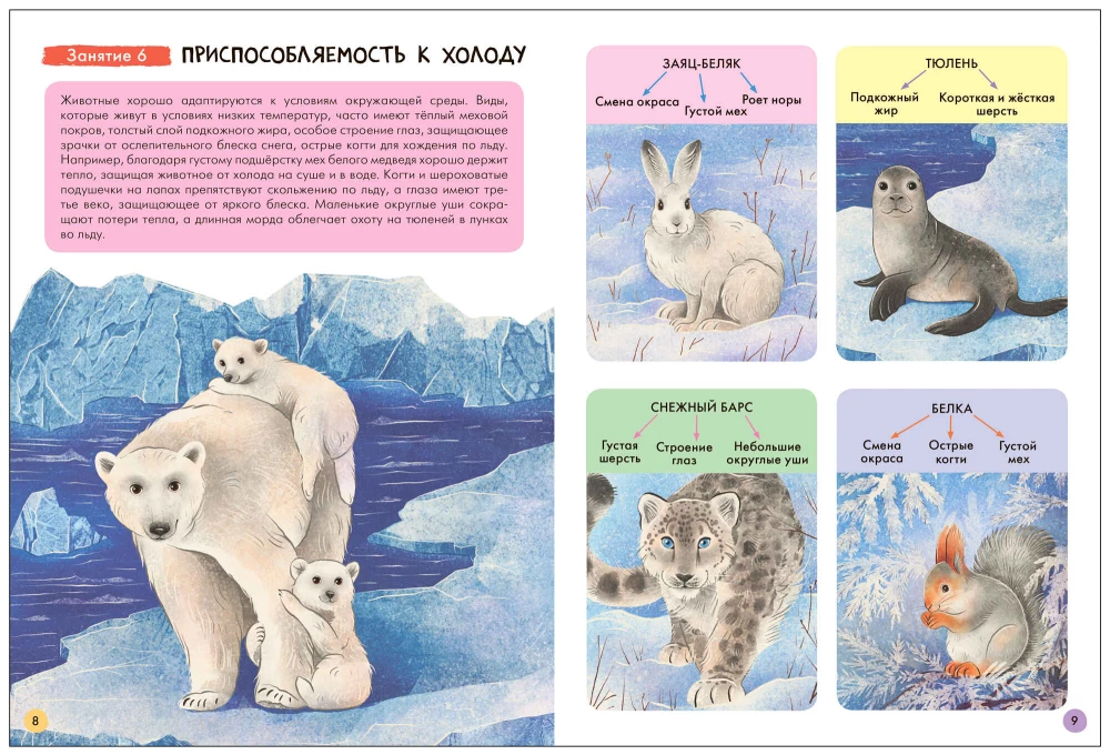 Septiņu rūķu skola. Pamata kurss. Apkārtējā pasaule. Komplekts 6+