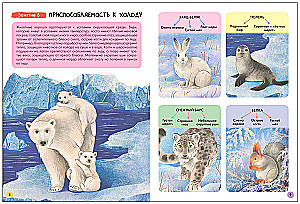 Septiņu rūķu skola. Pamata kurss. Apkārtējā pasaule. Komplekts 6+
