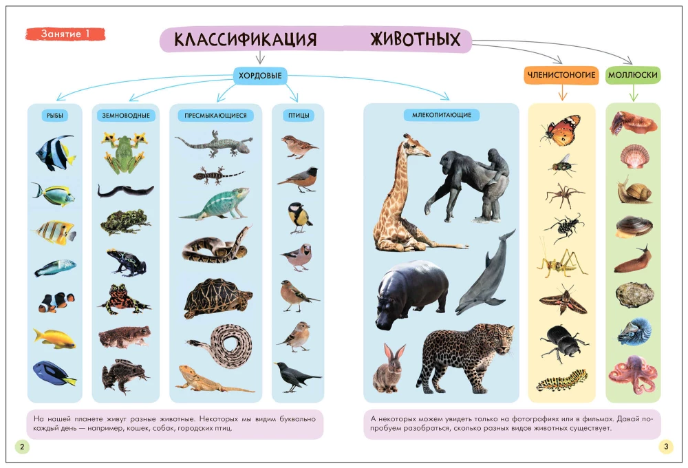 Septiņu rūķu skola. Pamata kurss. Apkārtējā pasaule. Komplekts 5+