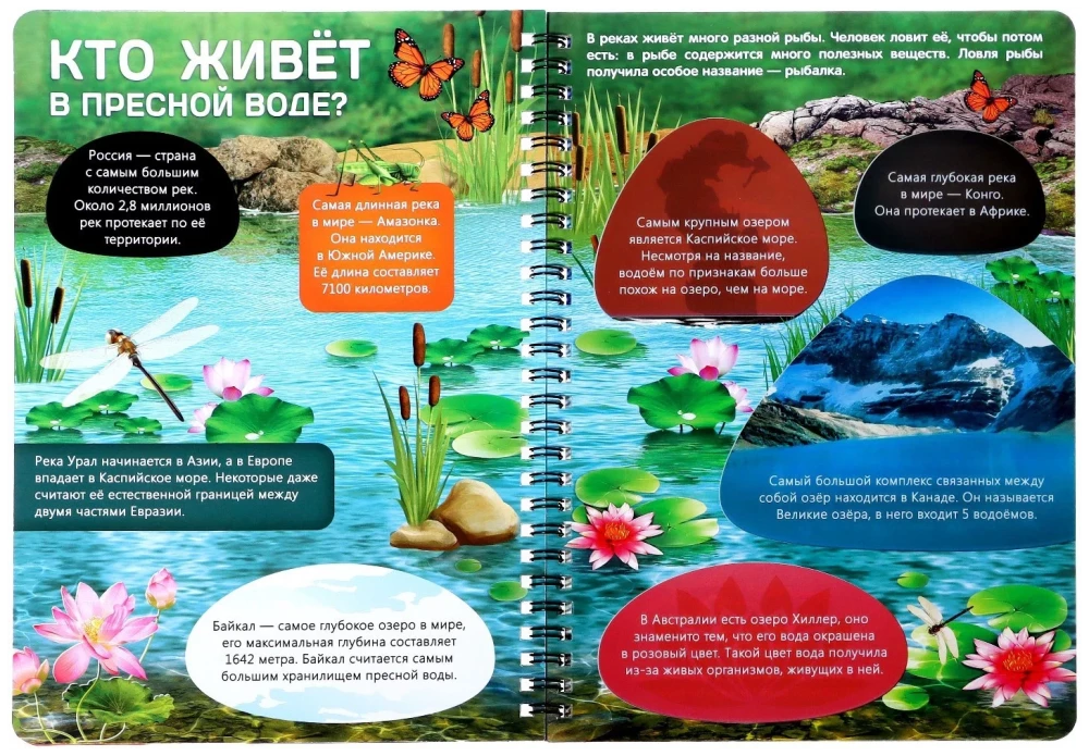 Elu Maal. Loomad ja kus nad elavad
