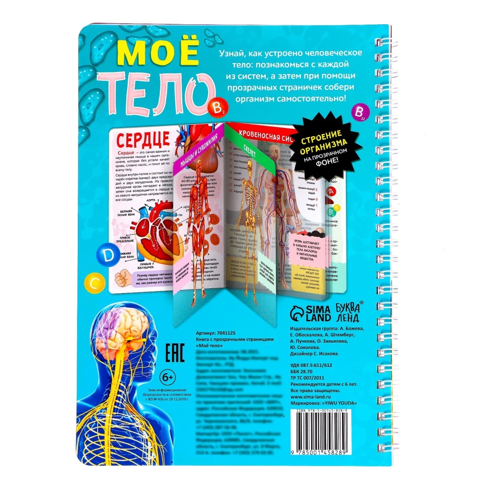 Minu keha. Organismi ehitus läbipaistval taustal