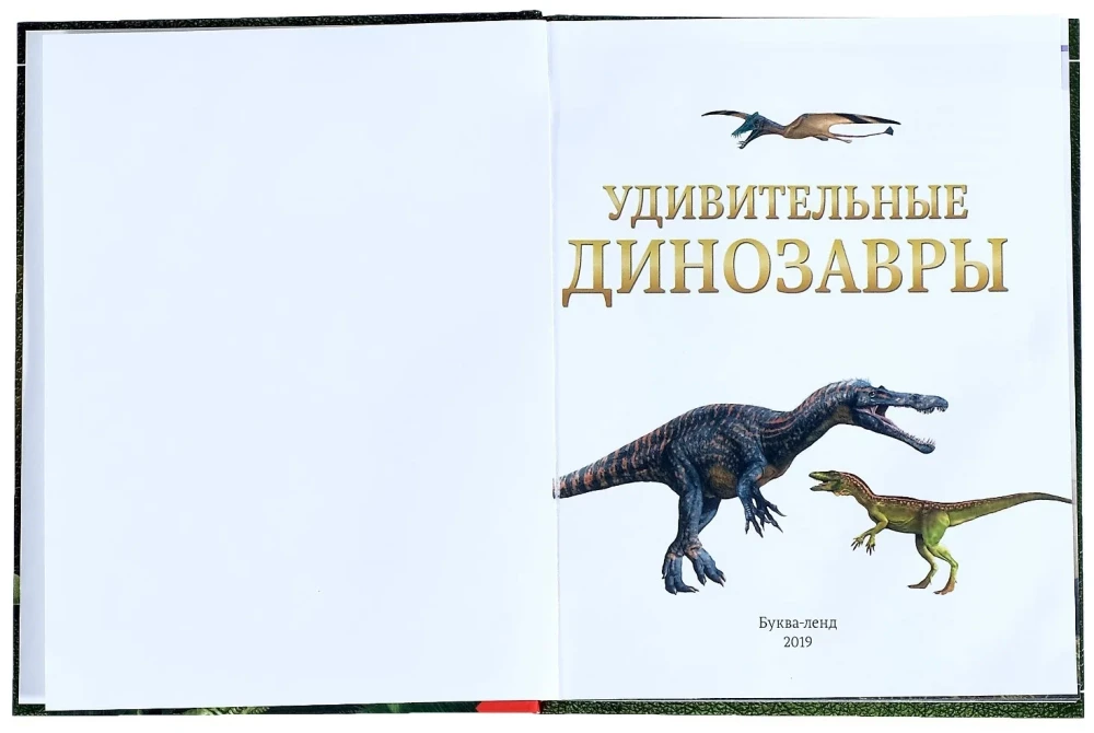 Zadziwiające dinozaury