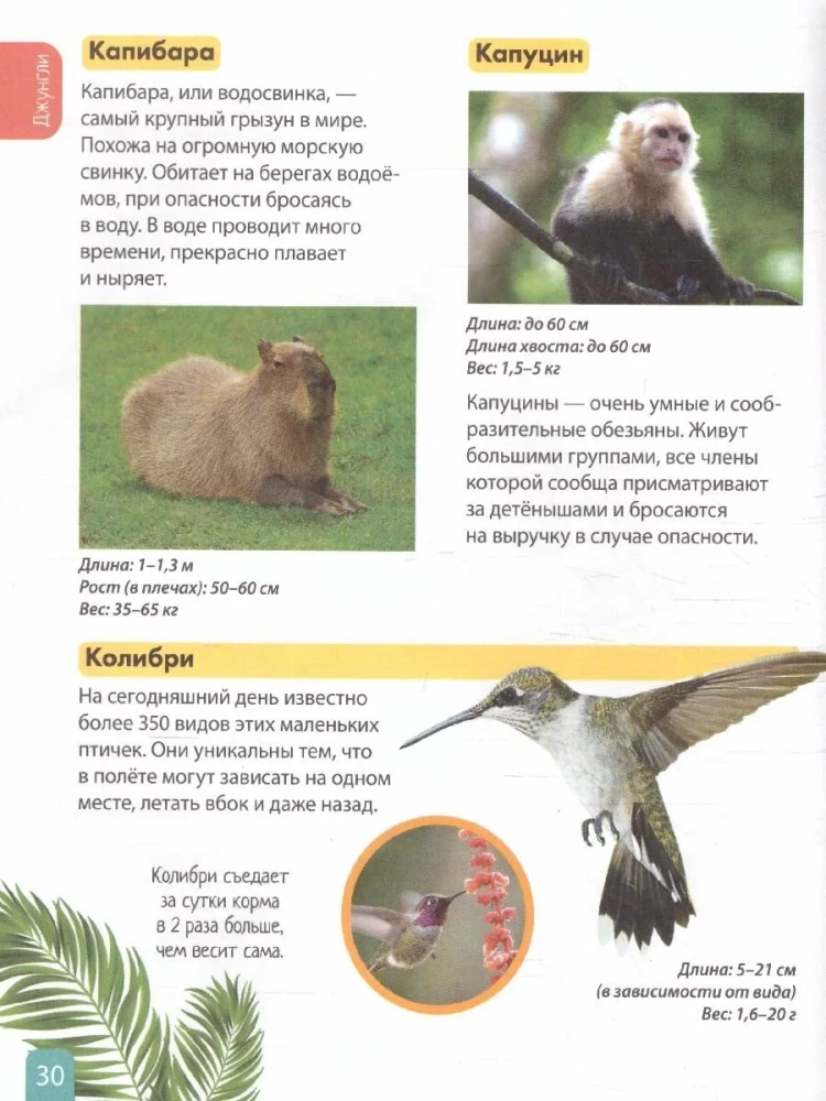 Tiere