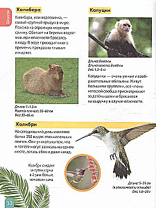 Tiere