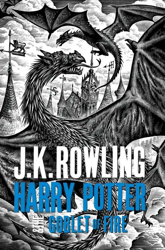 Harry Potter Erwachsen Hardback Box Set