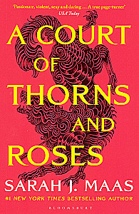 Ein Gericht aus Dornen und Rosen. 5 Bücher Box Set