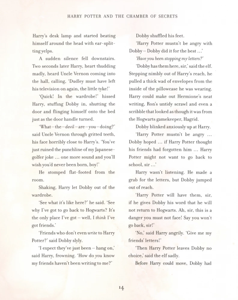 Harry Potter ir slaptoji kamera