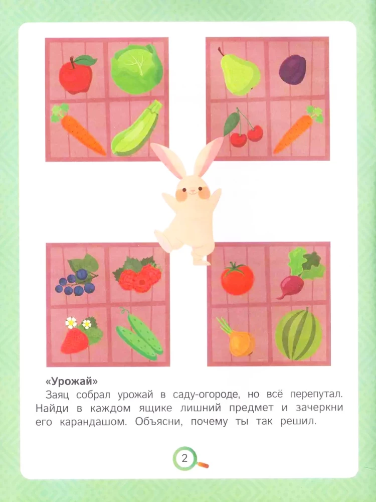 Co to jest? Znajdź niepasujące