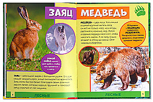 Photo Encyclopedia for Children - In the Animal World