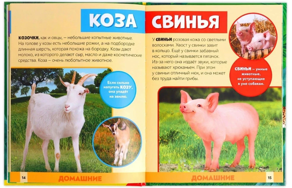 Photo Encyclopedia for Children - In the Animal World