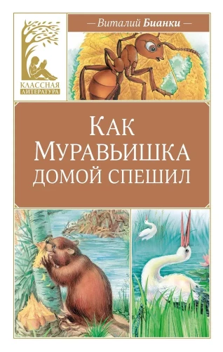 Jak mrówki spieszyły do domu